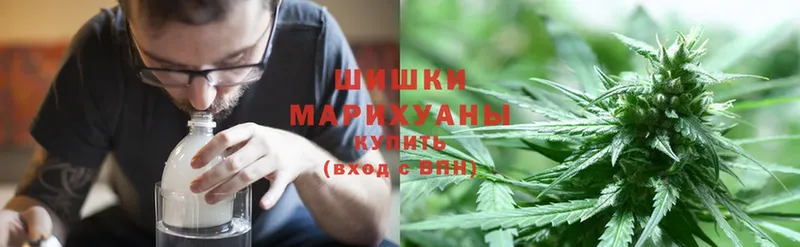 Канабис Bruce Banner  Вятские Поляны 